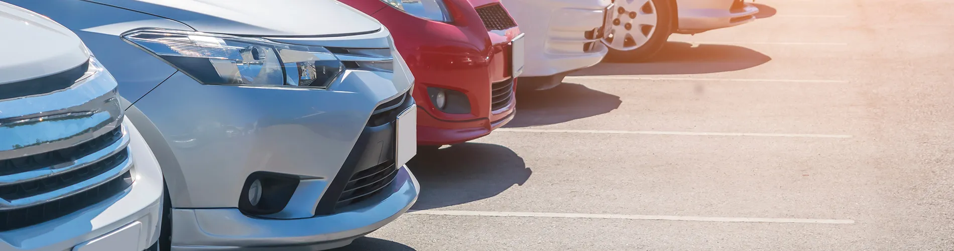 Motor Vehicle Insurance